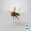 Paper Wasp Flying