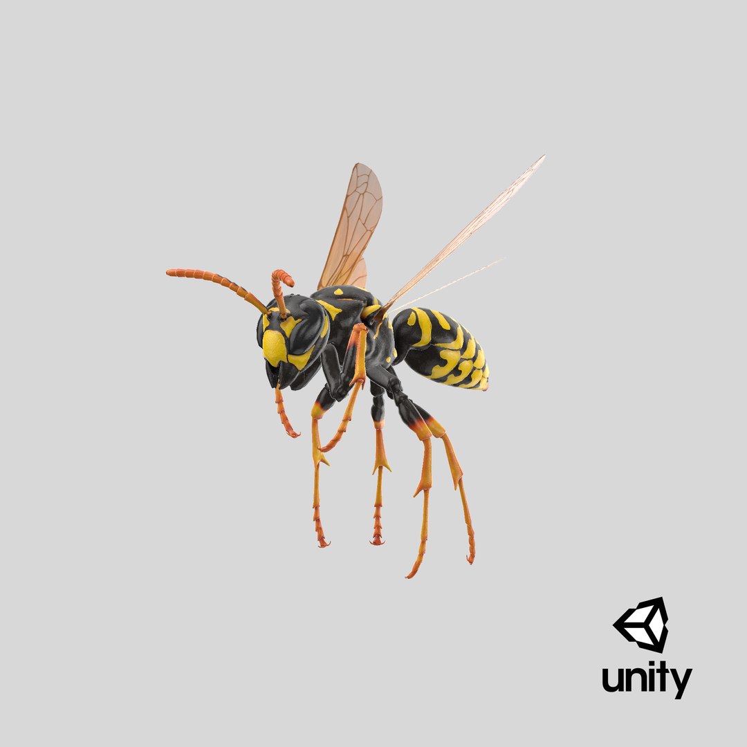 3D paper wasp flying https://p.turbosquid.com/ts-thumb/S5/YdaWai/jnebJcN2/stemcell_unity_render/png/1551126483/1920x1080/fit_q87/fedfa305955641f4f4ac86d49784fe2f53225460/stemcell_unity_render.jpg
