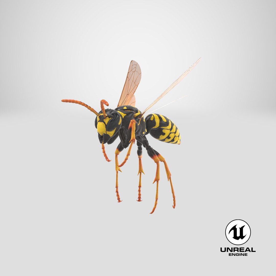 3D paper wasp flying https://p.turbosquid.com/ts-thumb/S5/YdaWai/lEtC9DTj/stemcell_unreal_render/png/1551126480/1920x1080/fit_q87/2594a6e7a6b62056807f7786777380deb2b3eaef/stemcell_unreal_render.jpg