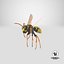 Paper Wasp Flying