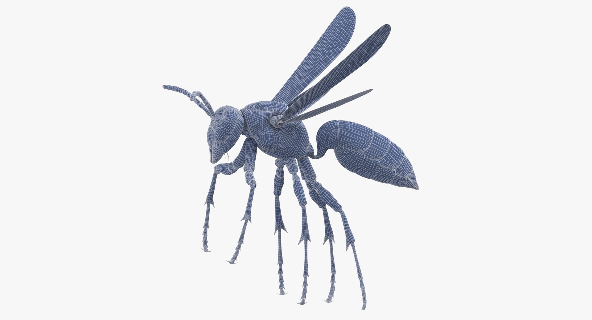 3D paper wasp flying https://p.turbosquid.com/ts-thumb/S5/YdaWai/mipDOfTQ/paper_wasp_flying_wireframe_01_0006/jpg/1550052192/1920x1080/fit_q87/4be38b02328dea4986c3388dec881b3254bd26ed/paper_wasp_flying_wireframe_01_0006.jpg