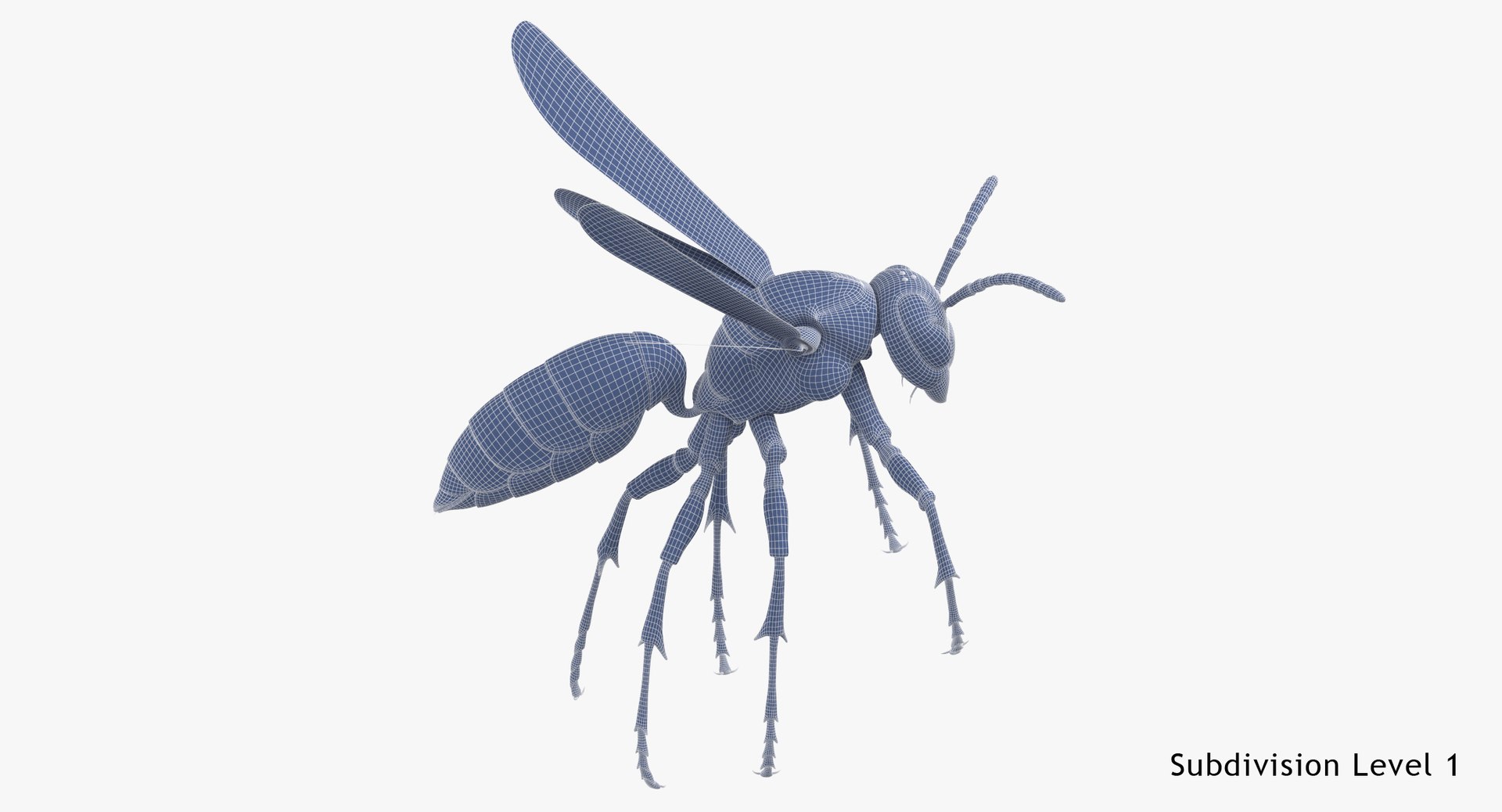 3D paper wasp flying https://p.turbosquid.com/ts-thumb/S5/YdaWai/sm8LFNwL/paper_wasp_flying_wireframe_subdiv_1/jpg/1550052193/1920x1080/fit_q87/18ae1cec841099d46047f981b6a27256aa94fe69/paper_wasp_flying_wireframe_subdiv_1.jpg