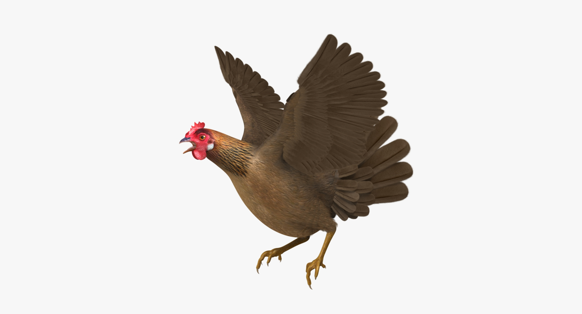 gallus domesticus brown domestic 3d model https://p.turbosquid.com/ts-thumb/S5/ZkMR6Y/Gr3Tc3ec/chicken_rot1/jpg/1440771435/1920x1080/turn_fit_q99/c118b1fcdaab08c40b8b686e97dec6a27b265e5d/chicken_rot1-1.jpg