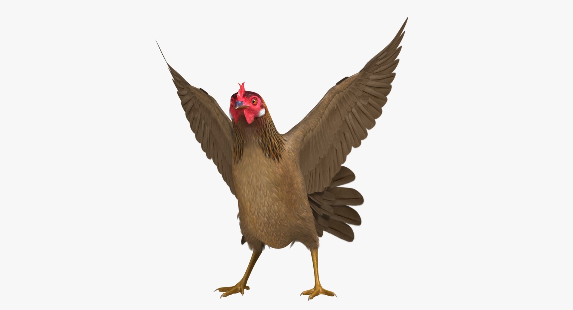 gallus domesticus brown domestic 3d model https://p.turbosquid.com/ts-thumb/S5/ZkMR6Y/UJbL3q61/r08/jpg/1440591418/1920x1080/fit_q87/16d5c0d76fc898cdfc030774d1a62ed73780410e/r08.jpg