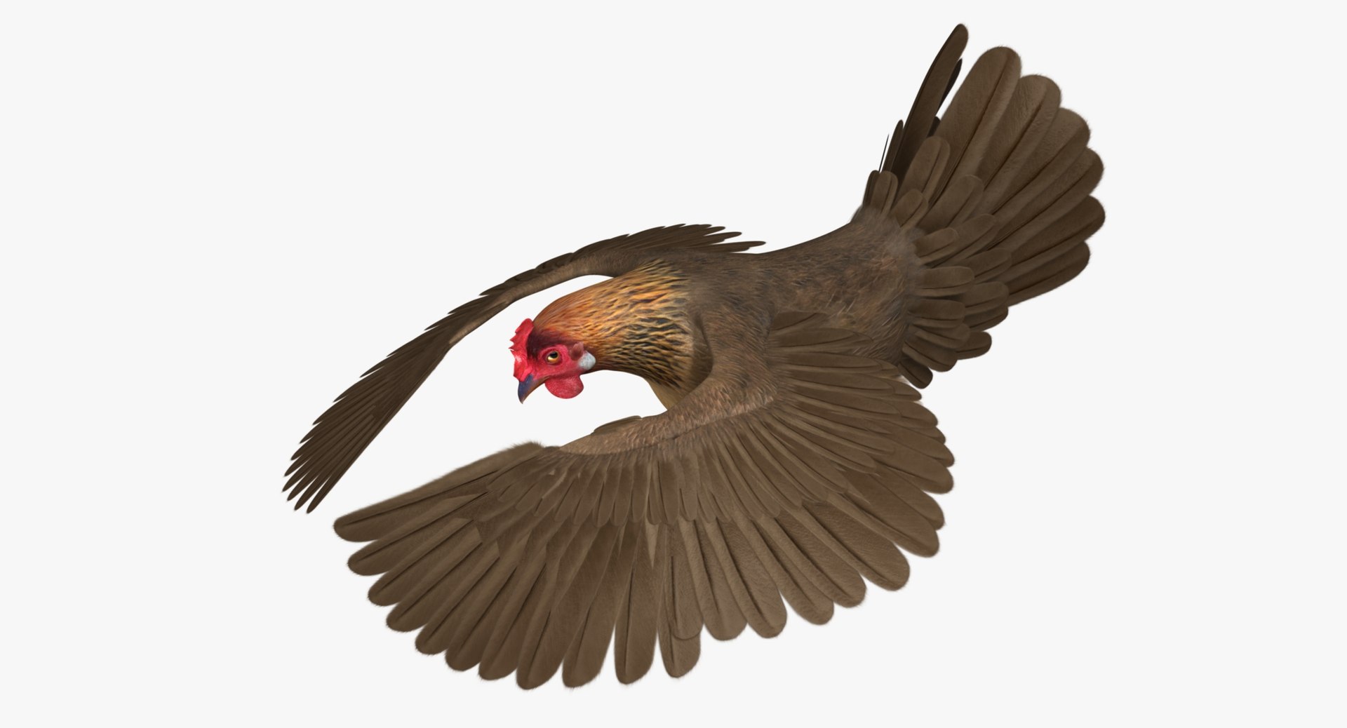 gallus domesticus brown domestic 3d model https://p.turbosquid.com/ts-thumb/S5/ZkMR6Y/kvvbYHGt/r13/jpg/1440597880/1920x1080/fit_q87/38b8fd4a073585f0dcbb664cfb7ef99c7a196760/r13.jpg