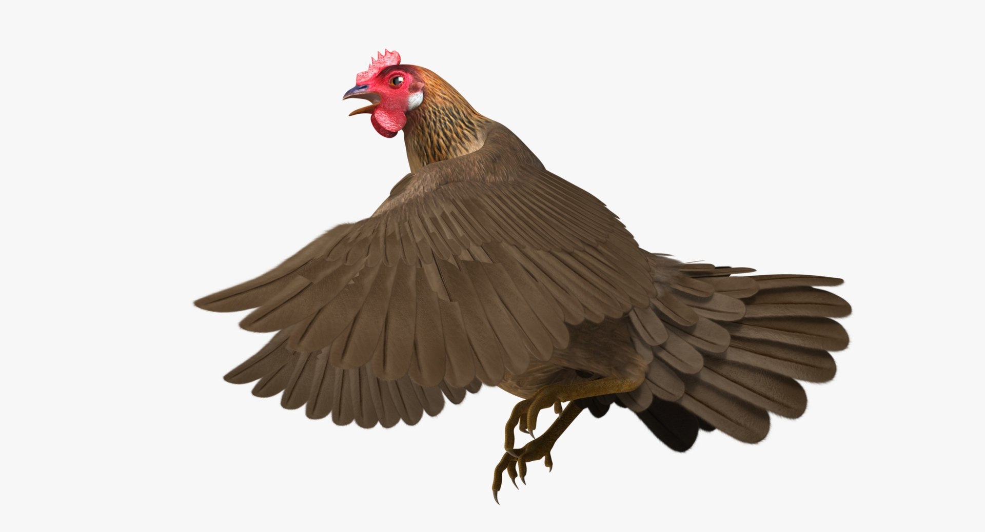 gallus domesticus brown domestic 3d model https://p.turbosquid.com/ts-thumb/S5/ZkMR6Y/qs3vp9Ov/r14/jpg/1440597880/1920x1080/fit_q87/244c45eac32058071fec2fd5b23c121d019ee388/r14.jpg