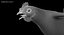 Gallus Domesticus "Коричневая куриная курица"