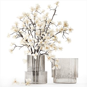 3D White bouquet of branches of blooming magnolia vase 345