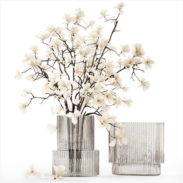 3D White bouquet of branches of blooming magnolia vase 345