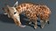 3D realistic giraffe fur tongue animation