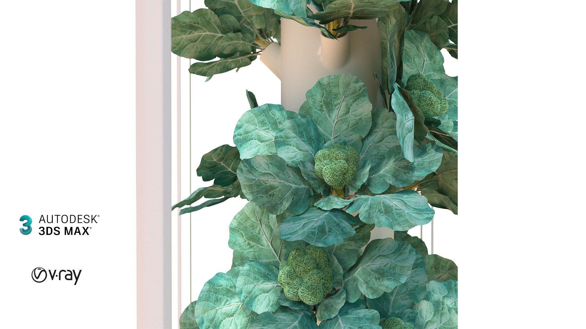 Hydroponics 3D model https://p.turbosquid.com/ts-thumb/S5/nhgoLV/A7/102/jpg/1719930115/1920x1080/fit_q87/d255bf0c75d0fc1bfd528082cddff90fdc435bc6/102.jpg