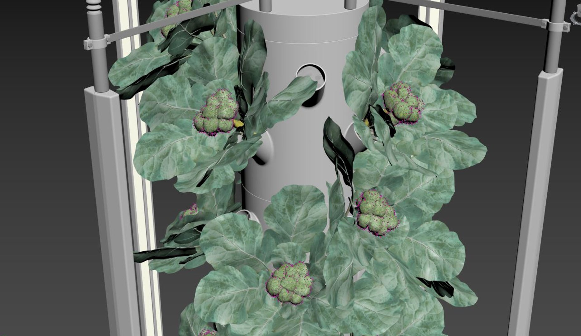 Hydroponics 3D model https://p.turbosquid.com/ts-thumb/S5/nhgoLV/Gh/z03/jpg/1719930575/1920x1080/fit_q87/135db8fa23237d6a1a3ee06cfd545fecfb0a97da/z03.jpg