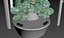 Hydroponics
