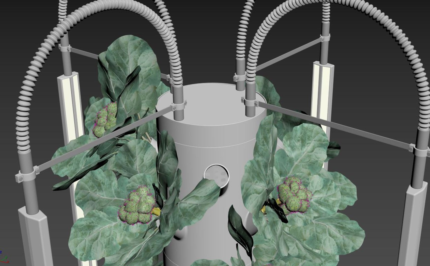 Hydroponics 3D model https://p.turbosquid.com/ts-thumb/S5/nhgoLV/gg/z04/jpg/1719930575/1920x1080/fit_q87/a58009792dafcb054a3fb9a0429d390f2bb0d1db/z04.jpg