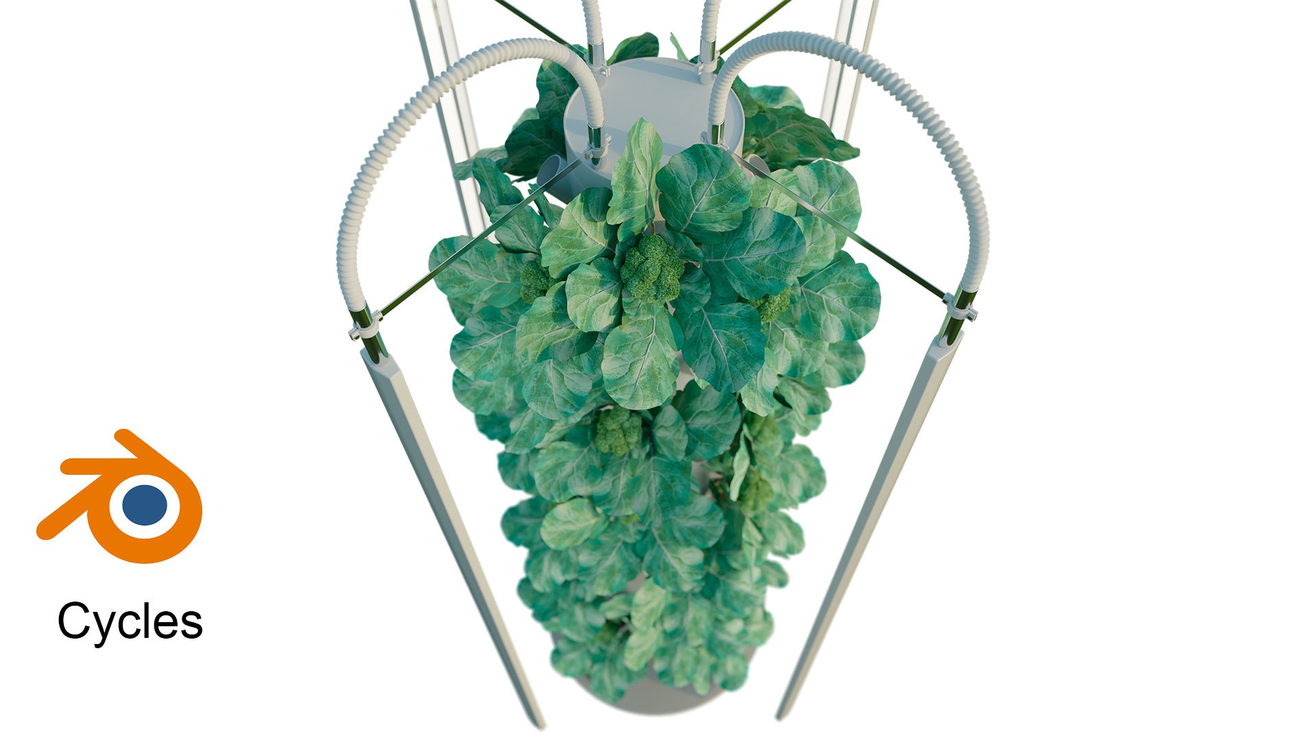 Hydroponics 3D model https://p.turbosquid.com/ts-thumb/S5/nhgoLV/lT/203/jpg/1719930120/1920x1080/fit_q87/d953addcd71226c8352d9c012127a9291be188e5/203.jpg
