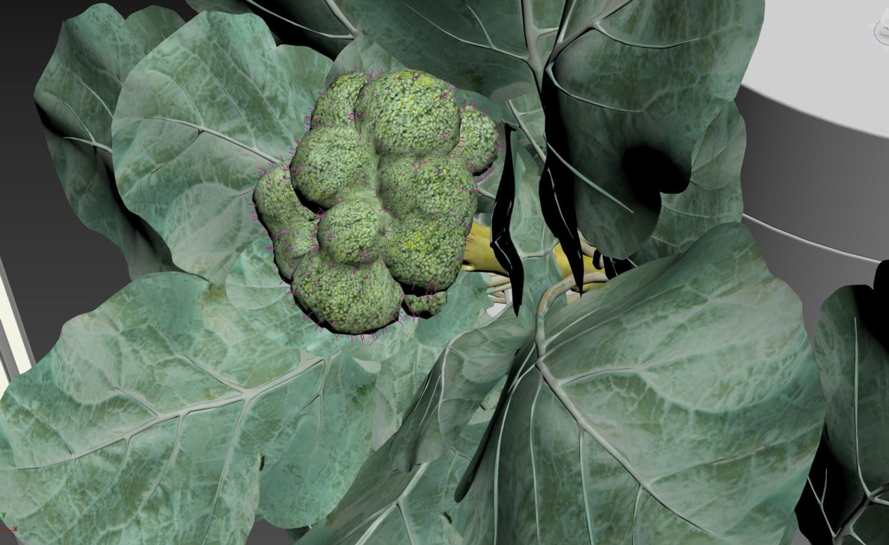 Hydroponics 3D model https://p.turbosquid.com/ts-thumb/S5/nhgoLV/m2/15/jpg/1719930580/1920x1080/fit_q87/d526e315dbf684da653dcc010858b5901f090f98/15.jpg