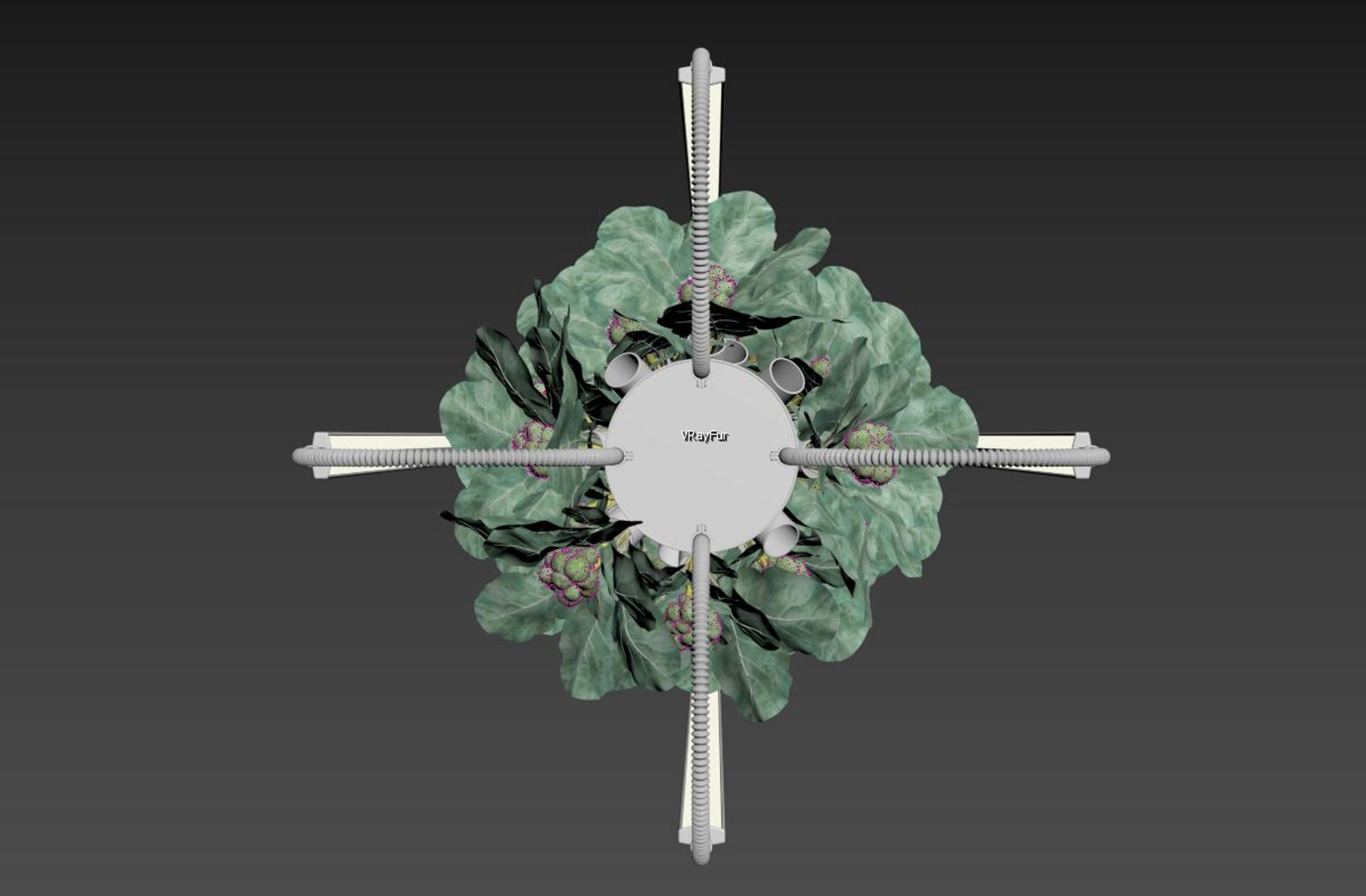 Hydroponics 3D model https://p.turbosquid.com/ts-thumb/S5/nhgoLV/qY/11/jpg/1719930579/1920x1080/fit_q87/292f63104d1e35b38e9ddd3b7d10918455af506e/11.jpg