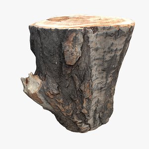 log 3D