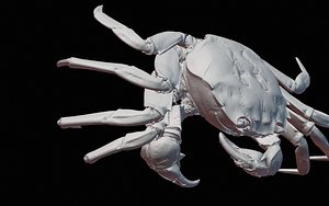3D mokuzugani crab