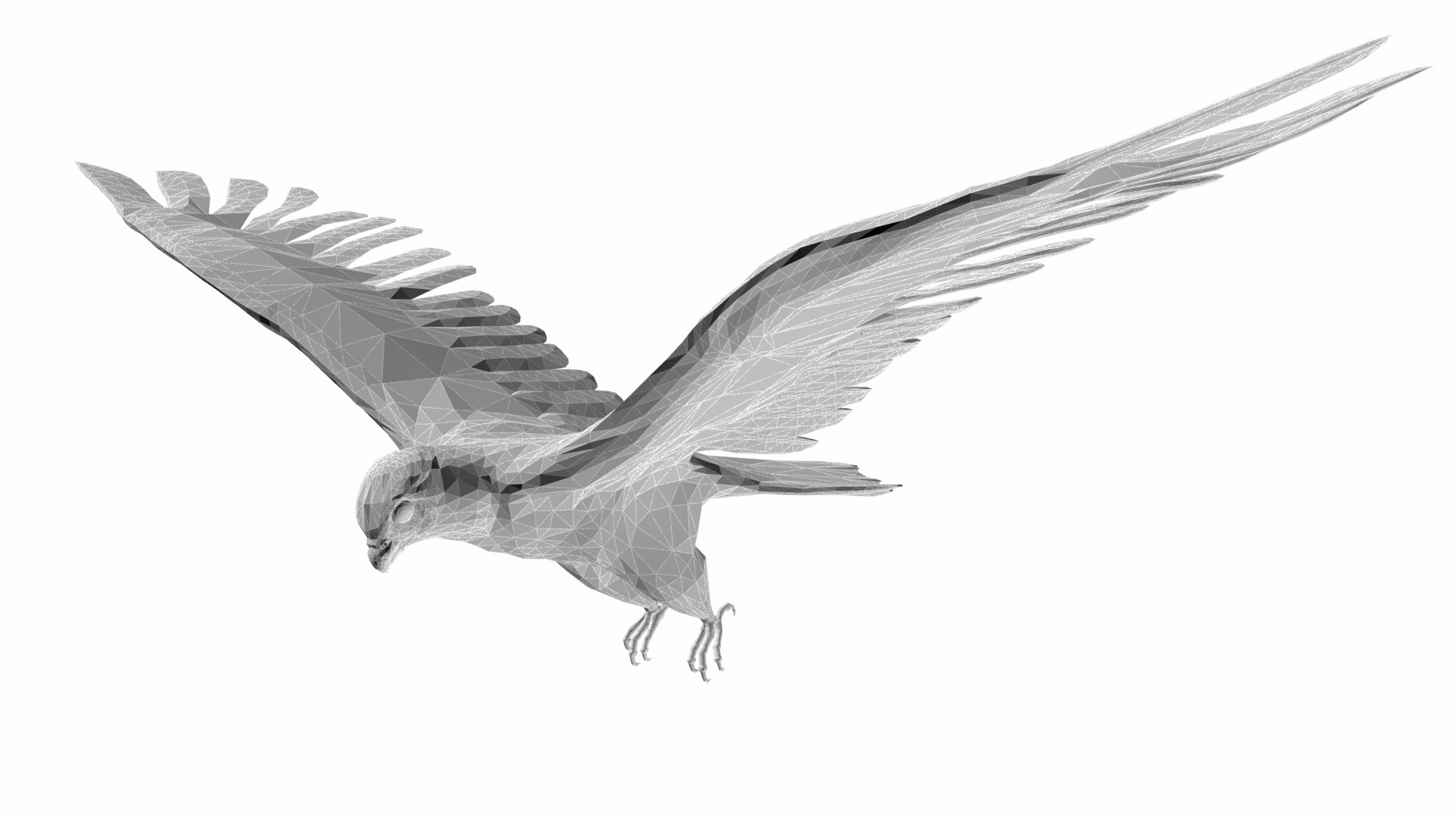 falcon bird 3D https://p.turbosquid.com/ts-thumb/S6/1qmML8/ds/p6/jpg/1609583629/1920x1080/fit_q87/59a75466fdd41dc43ae05110cf2af9cdbb8af799/p6.jpg