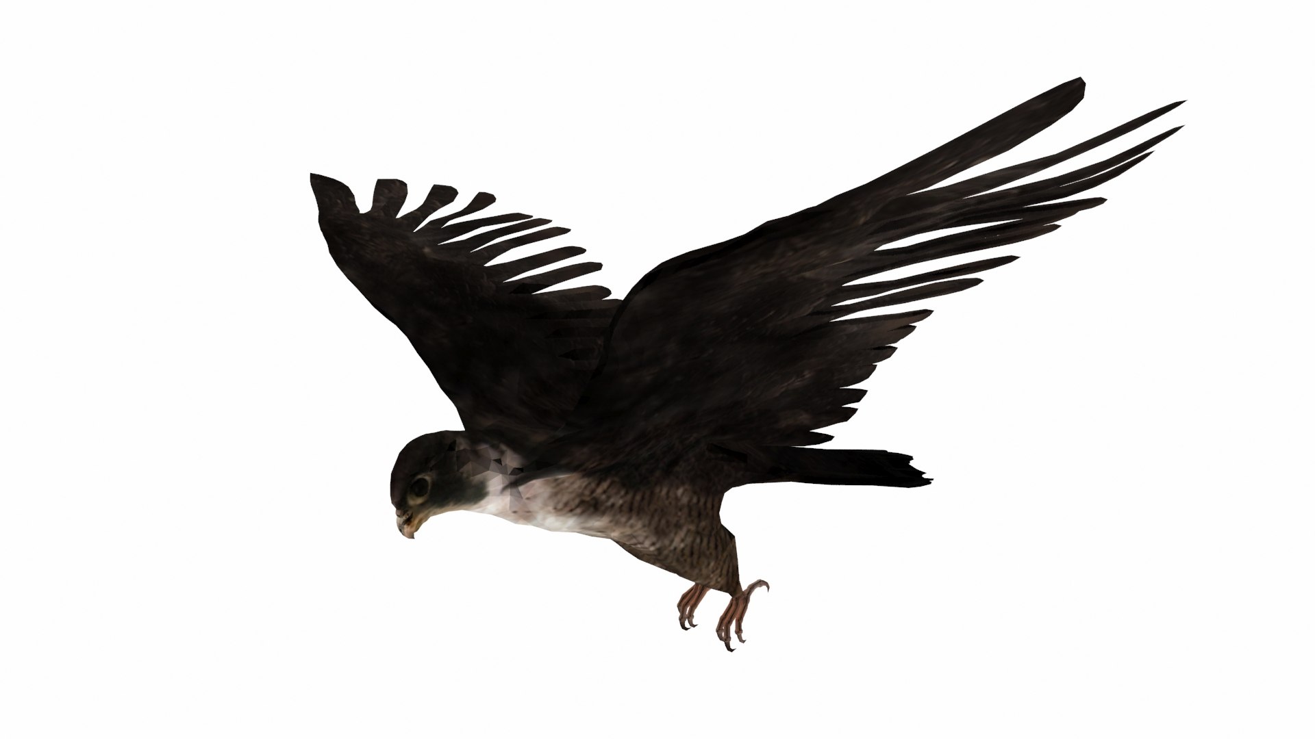 falcon bird 3D https://p.turbosquid.com/ts-thumb/S6/1qmML8/n1/p4/jpg/1609583628/1920x1080/fit_q87/9e1b9cd6e19f8331a512d361cd900b38ade42268/p4.jpg