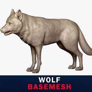 Gray Wolf Base Mesh 3D model 3D model