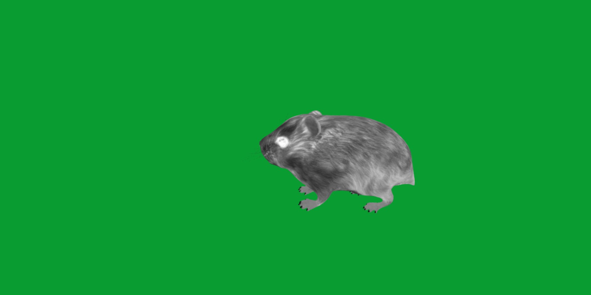 3D Roborovski Dwarf Hamster https://p.turbosquid.com/ts-thumb/S6/FYJpyB/08/dwaf_hamster10/png/1751505461/1920x1080/fit_q87/a08643fca601b43359a60a5ea7fc8e63e90829e7/dwaf_hamster10.jpg