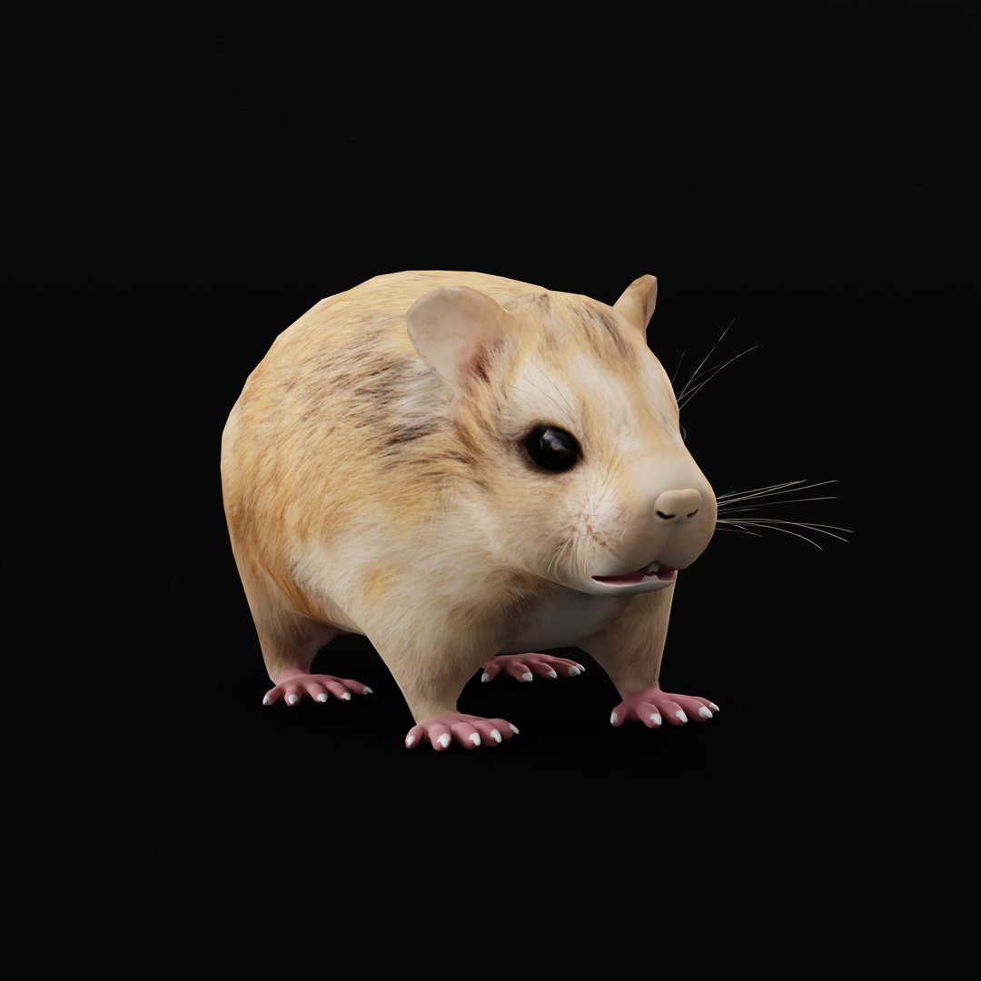 3D Roborovski Dwarf Hamster https://p.turbosquid.com/ts-thumb/S6/FYJpyB/0t/roborovskihamsterao_0005/jpg/1751505594/1920x1080/fit_q87/2e85f7f2b717fbe9a223ff2193d87da2cf3e118f/roborovskihamsterao_0005.jpg