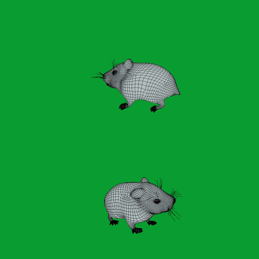 3D Roborovski Dwarf Hamster https://p.turbosquid.com/ts-thumb/S6/FYJpyB/28/wire/png/1751505418/1920x1080/fit_q87/74e1e7a3712cb4540de1ba787f6c4085f458444d/wire.jpg