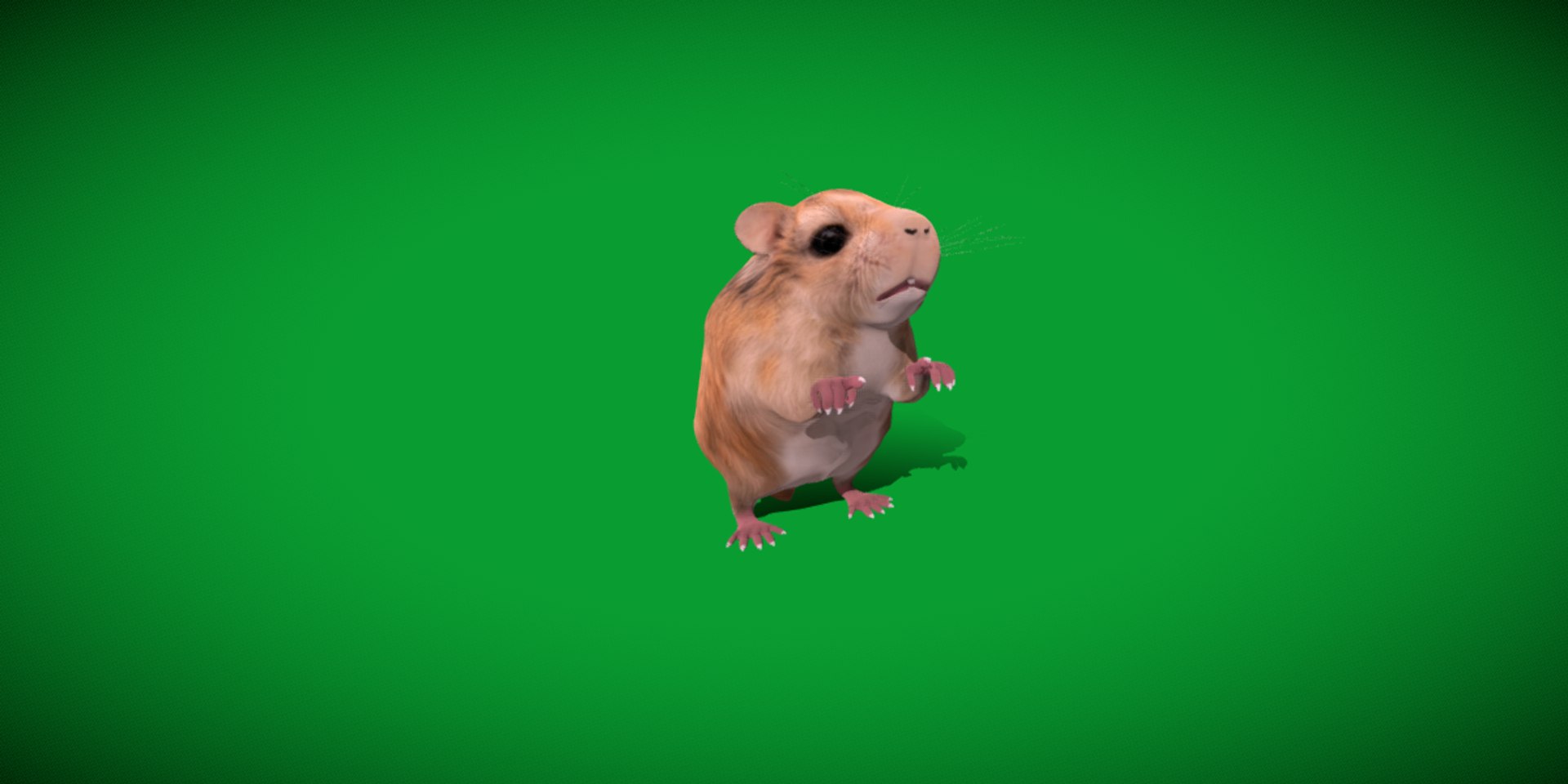 3D Roborovski Dwarf Hamster https://p.turbosquid.com/ts-thumb/S6/FYJpyB/2t/dwaf_hamster16/png/1751505468/1920x1080/fit_q87/e25ed74ad9d33c7493fcc89cd02d80924ef058e1/dwaf_hamster16.jpg