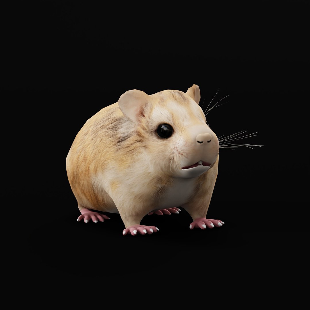 3D Roborovski Dwarf Hamster https://p.turbosquid.com/ts-thumb/S6/FYJpyB/4T/roborovskihamsterao/jpg/1751505580/1920x1080/fit_q87/602986ec2a3ee0d4c17549dcdbfa652a96754453/roborovskihamsterao.jpg