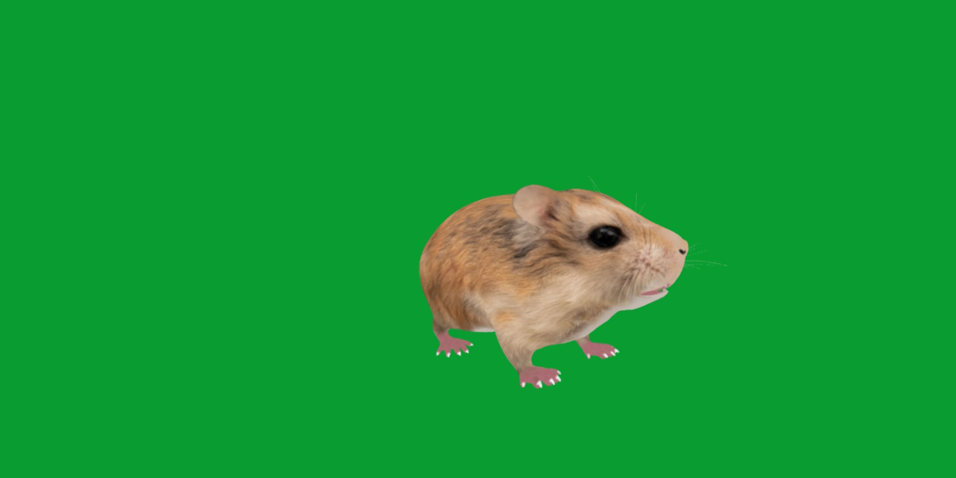 3D Roborovski Dwarf Hamster https://p.turbosquid.com/ts-thumb/S6/FYJpyB/7N/dwaf_hamster32/png/1751505446/1920x1080/fit_q87/9dff3ac8fc153371abd4a2b19510d42918c9b731/dwaf_hamster32.jpg