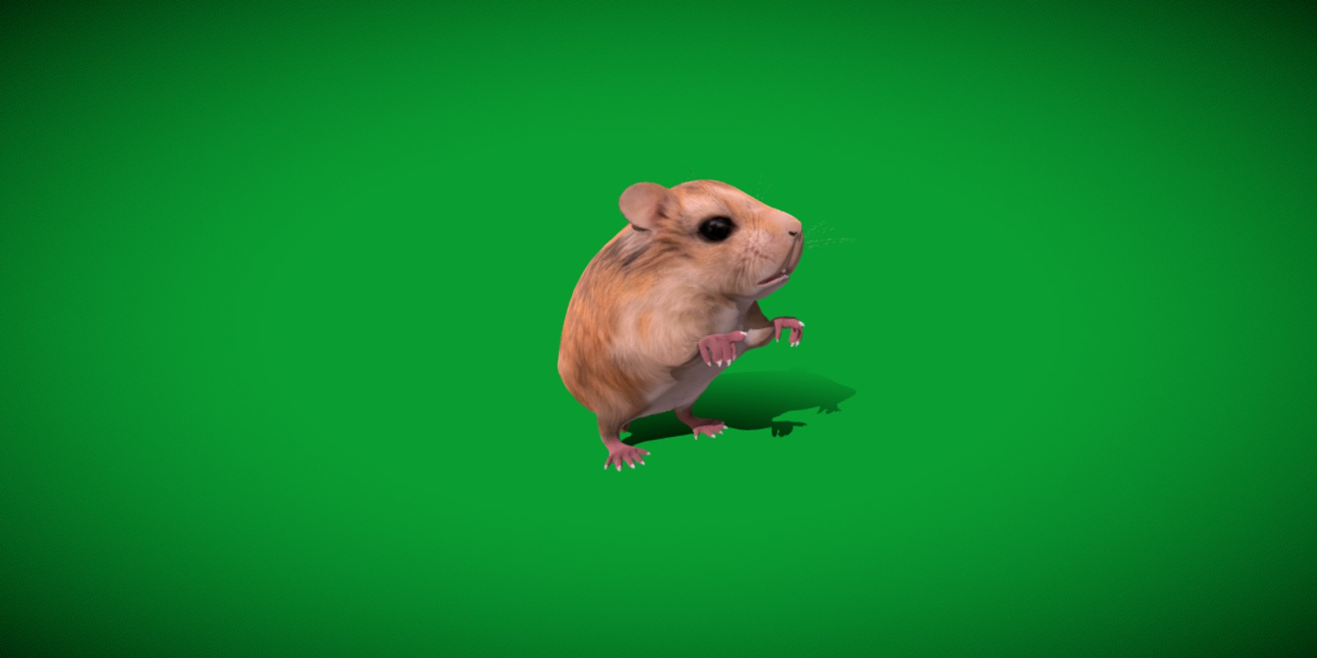 3D Roborovski Dwarf Hamster https://p.turbosquid.com/ts-thumb/S6/FYJpyB/BZ/dwaf_hamster18/png/1751505473/1920x1080/fit_q87/bb7eb12f4c7f7eeb542ec07b558b08a392ed0295/dwaf_hamster18.jpg
