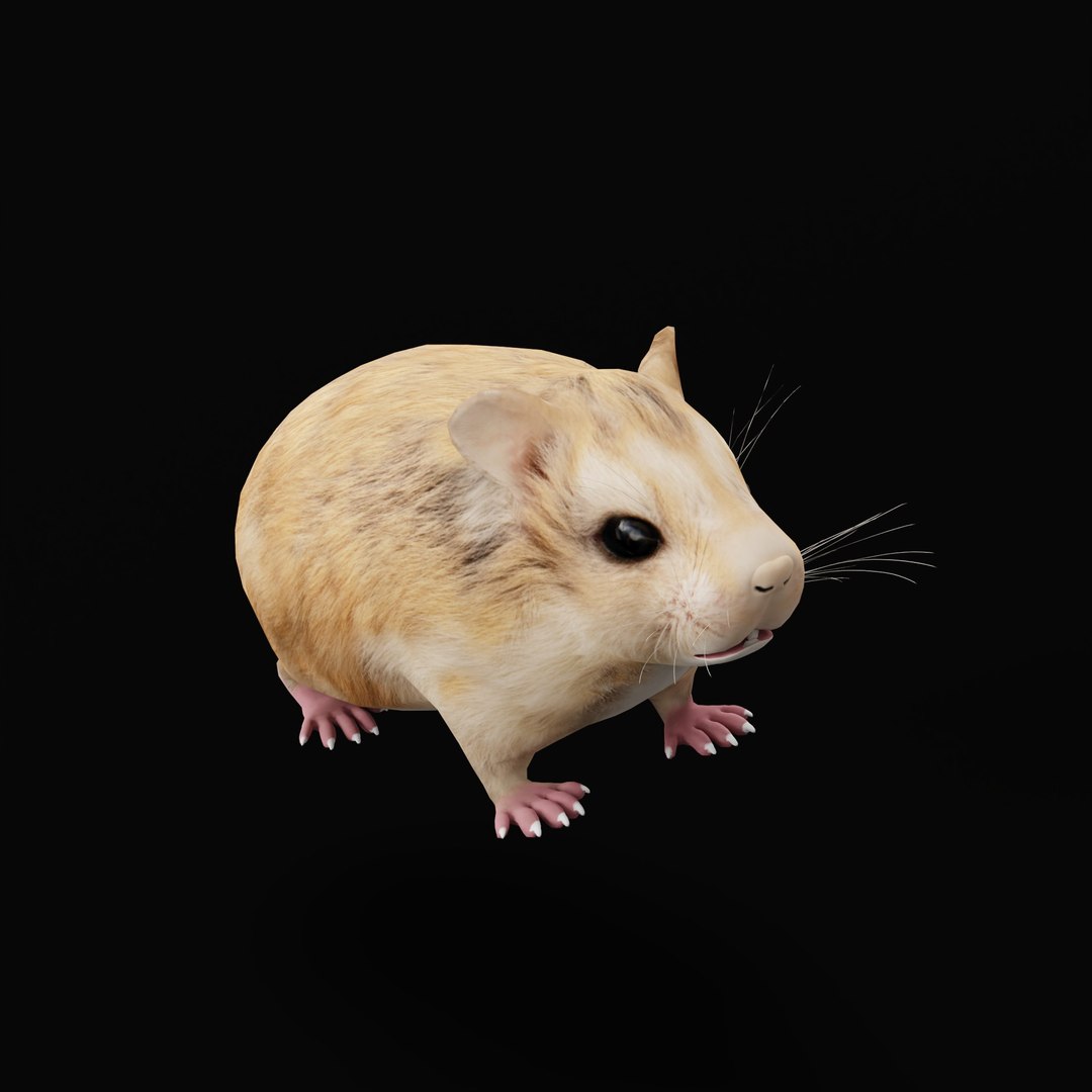 3D Roborovski Dwarf Hamster https://p.turbosquid.com/ts-thumb/S6/FYJpyB/Bk/roborovskihamsterao_0003/jpg/1751505590/1920x1080/fit_q87/77cb9311e44691ad2ebe85ce8dd943f9a634b527/roborovskihamsterao_0003.jpg