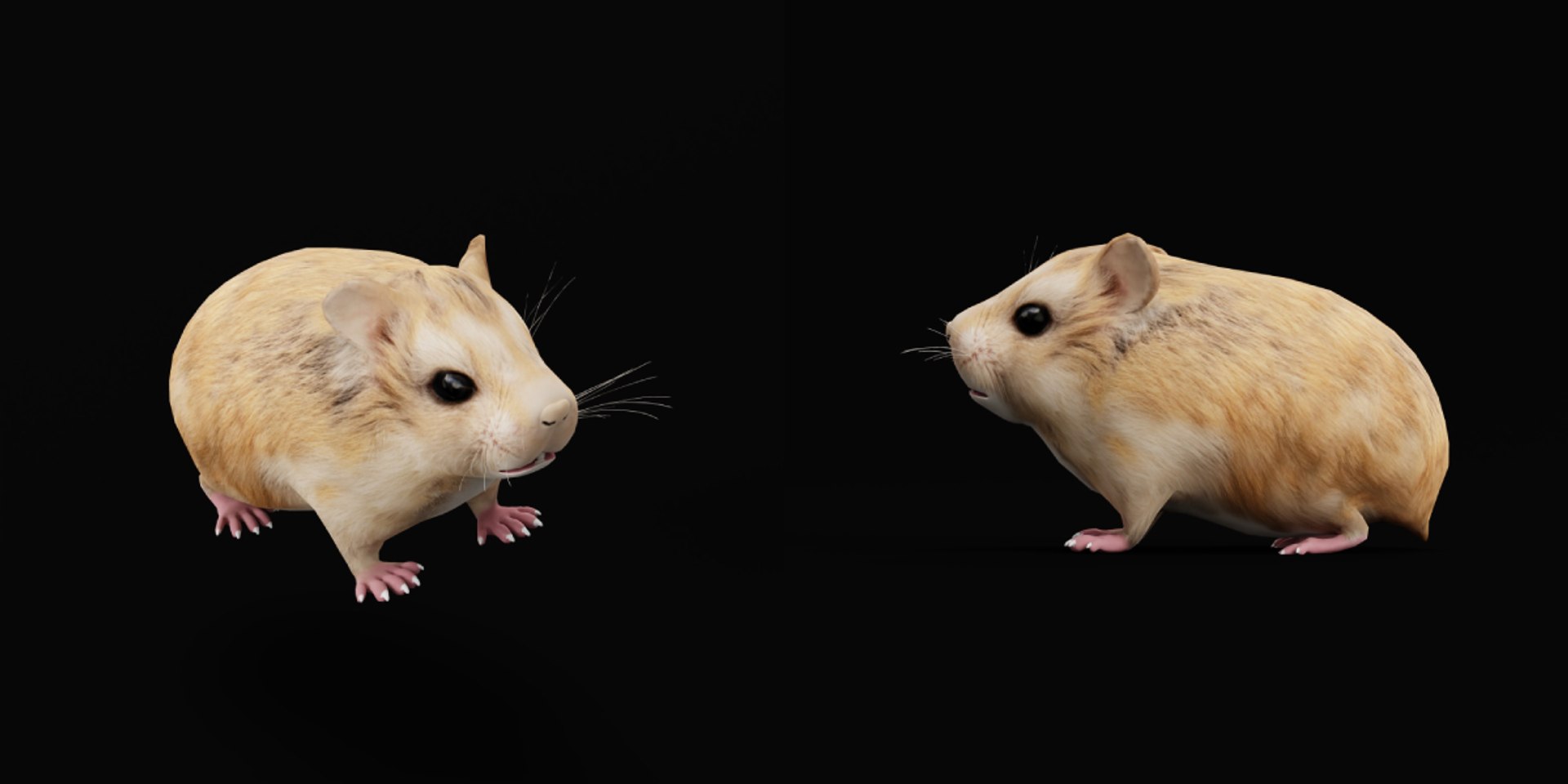 3D Roborovski Dwarf Hamster https://p.turbosquid.com/ts-thumb/S6/FYJpyB/mM/dwaf_hamster8/png/1751505460/1920x1080/fit_q87/77bb345dae1c89e1be8198fd9cbcbd9a7af433f0/dwaf_hamster8.jpg