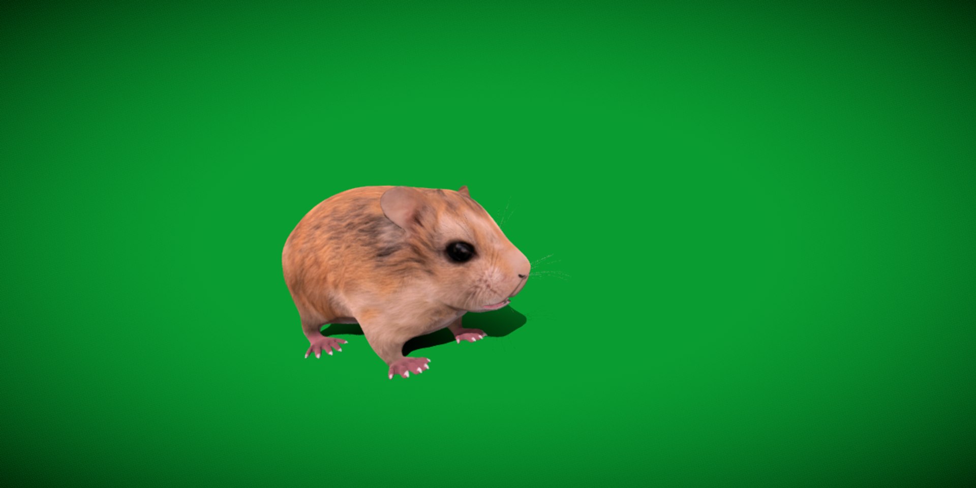 3D Roborovski Dwarf Hamster https://p.turbosquid.com/ts-thumb/S6/FYJpyB/np/dwaf_hamster/png/1751505452/1920x1080/fit_q87/b17dc4cda6a2c26cecac0aeee3560ffe6c2b7139/dwaf_hamster.jpg