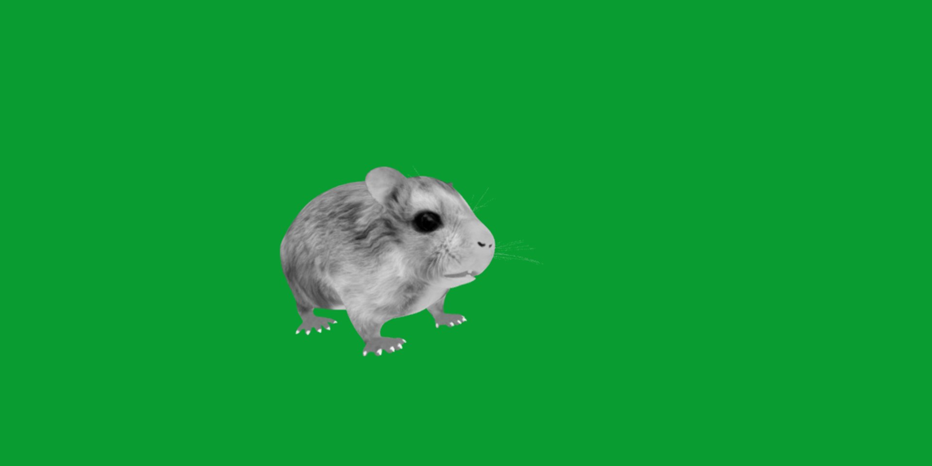 3D Roborovski Dwarf Hamster https://p.turbosquid.com/ts-thumb/S6/FYJpyB/q3/dwaf_hamster12/png/1751505463/1920x1080/fit_q87/2239253414e74cdd503ed3ea9e02678b7a6857c8/dwaf_hamster12.jpg