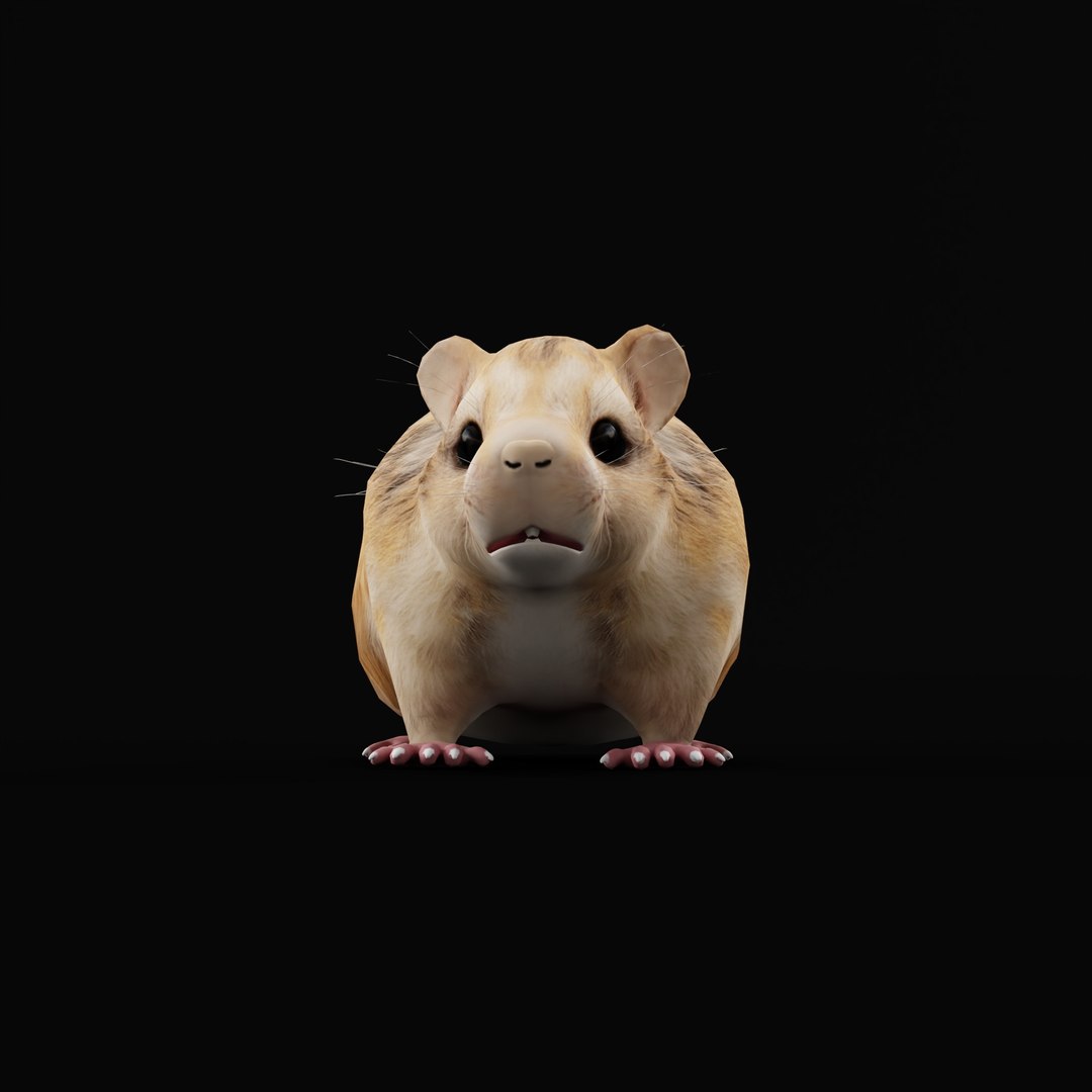 3D Roborovski Dwarf Hamster https://p.turbosquid.com/ts-thumb/S6/FYJpyB/qy/roborovskihamsterao_0000/jpg/1751505584/1920x1080/fit_q87/d3169cbd811e156ab2ca8b01f8a0c853aa896d3f/roborovskihamsterao_0000.jpg