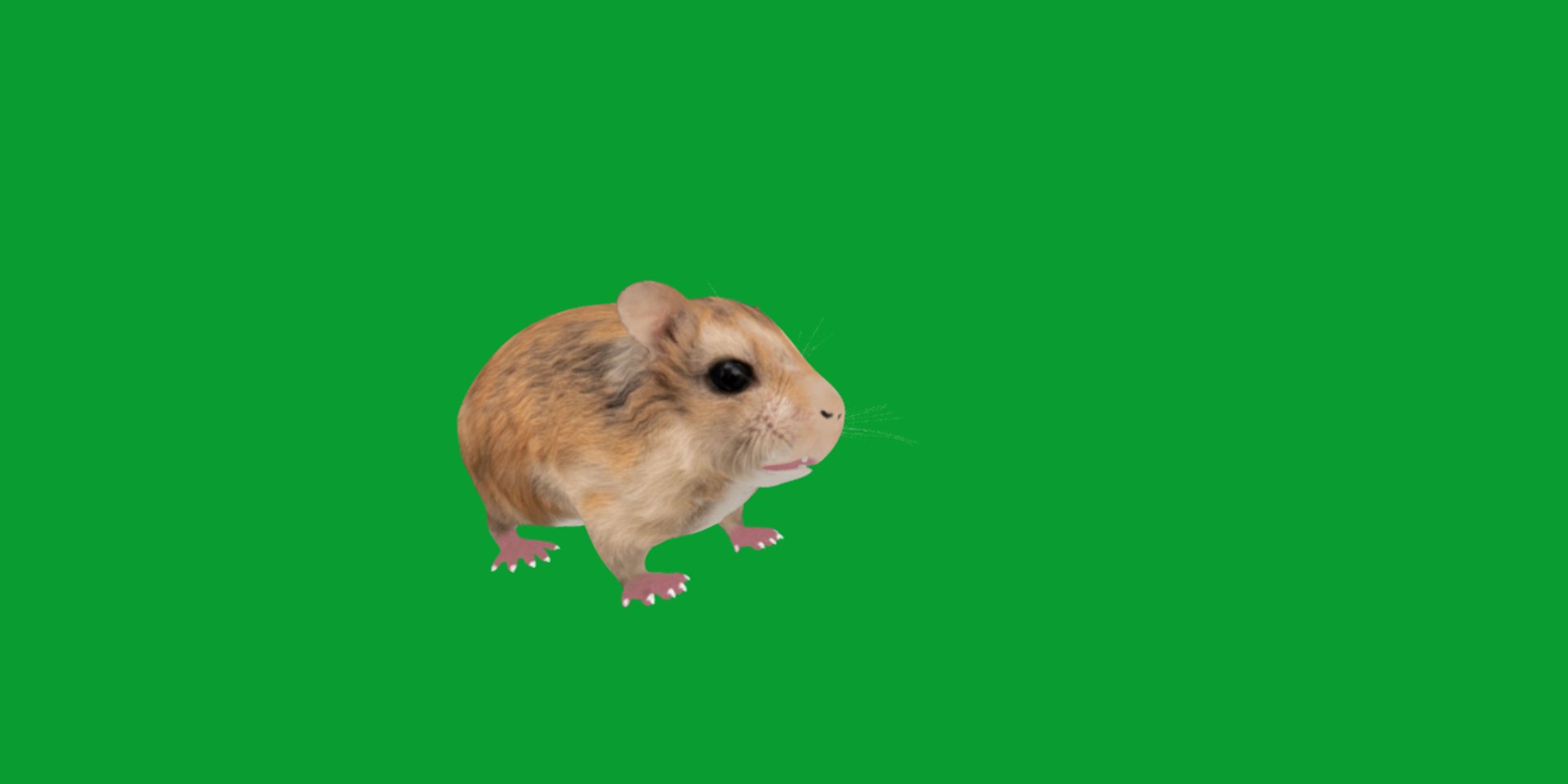 3D Roborovski Dwarf Hamster https://p.turbosquid.com/ts-thumb/S6/FYJpyB/rD/dwaf_hamster3/png/1751505456/1920x1080/fit_q87/125d8e9752081f6f5c9cbbc9de31844aafafda55/dwaf_hamster3.jpg