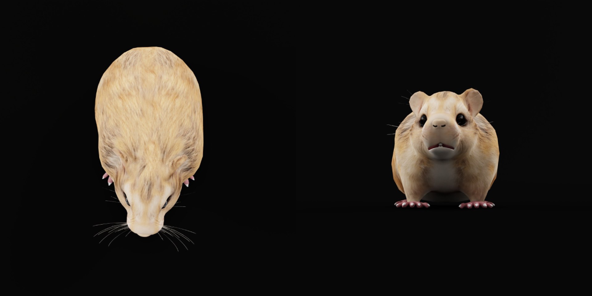 3D Roborovski Dwarf Hamster https://p.turbosquid.com/ts-thumb/S6/FYJpyB/u2/dwaf_hamster13/png/1751505465/1920x1080/fit_q87/09580af61273b8fb9ba107995281a0a3c942f3ca/dwaf_hamster13.jpg