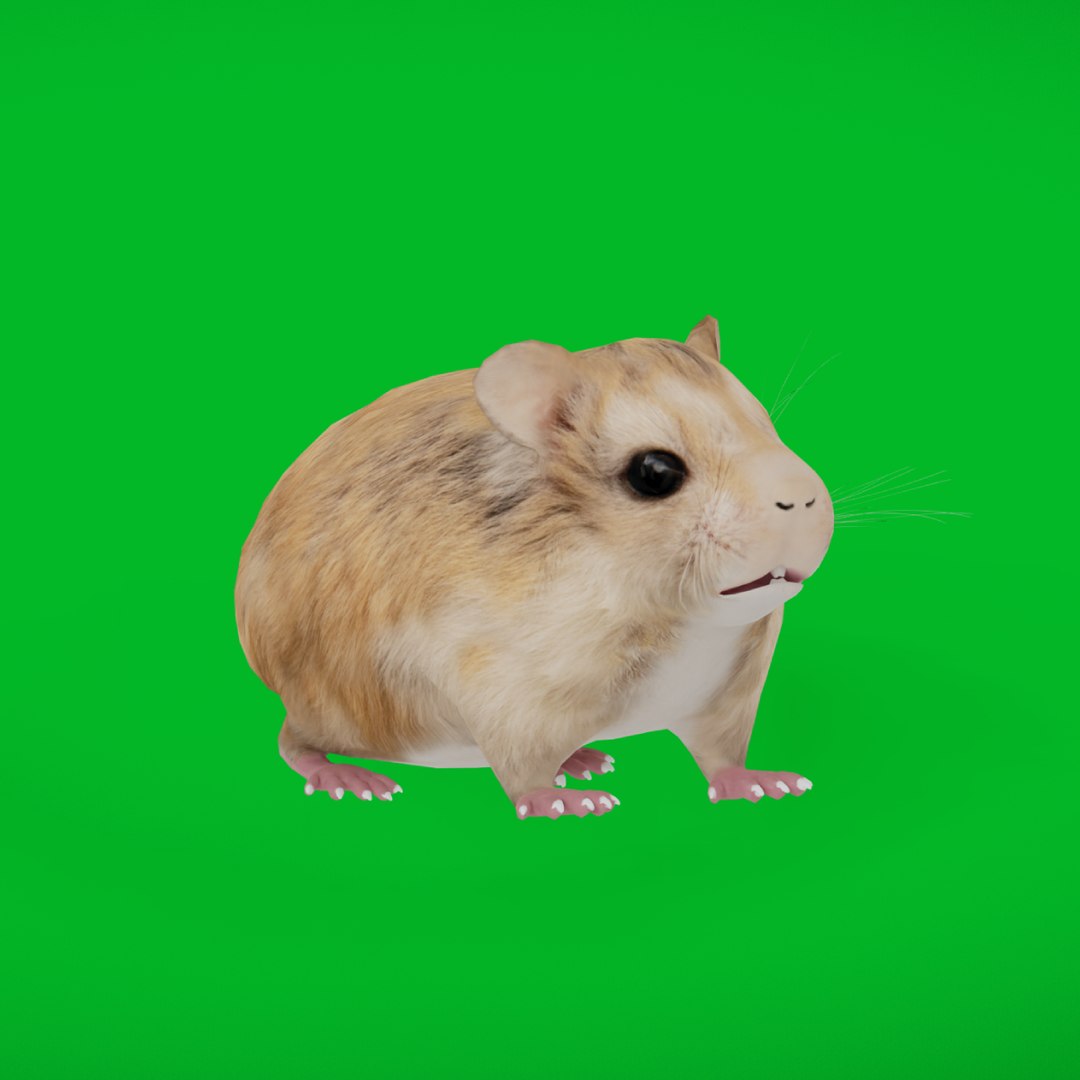 3D Roborovski Dwarf Hamster TurboSquid 2428872