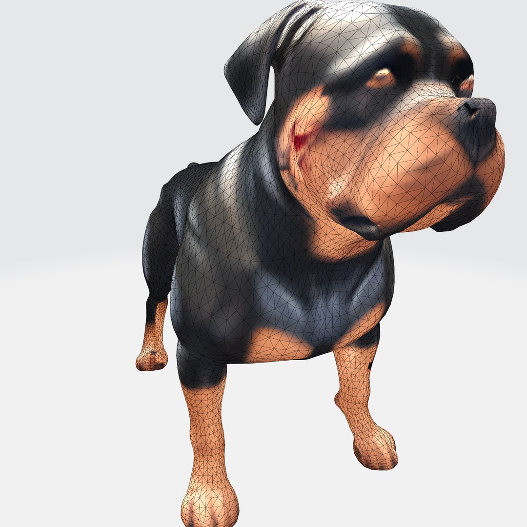 3D Muscular Rottweiler - TurboSquid 2275574
