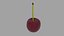 Cerise