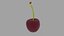 Cerise