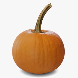 The Pumpkin 3D