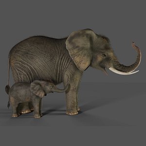 3D Fur Elephant and Baby Elephant NO Rigged model