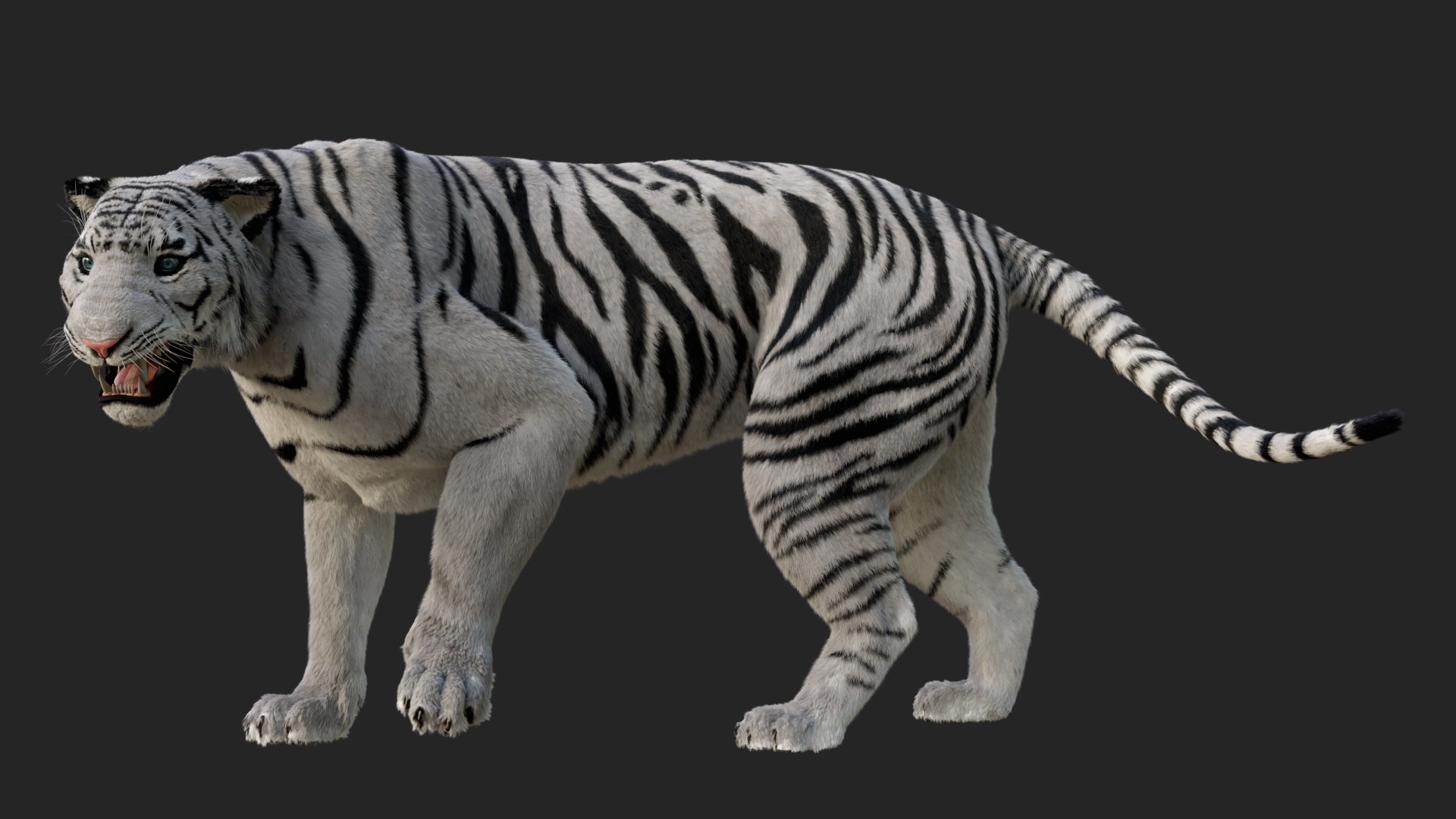 White Tiger model https://p.turbosquid.com/ts-thumb/S6/nrzU5p/hD/1/png/1748948414/1920x1080/fit_q87/de245a0fd849434fd24dc21cac6cbcc47ad971bf/1.jpg