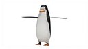 Kowalski - Madagascar