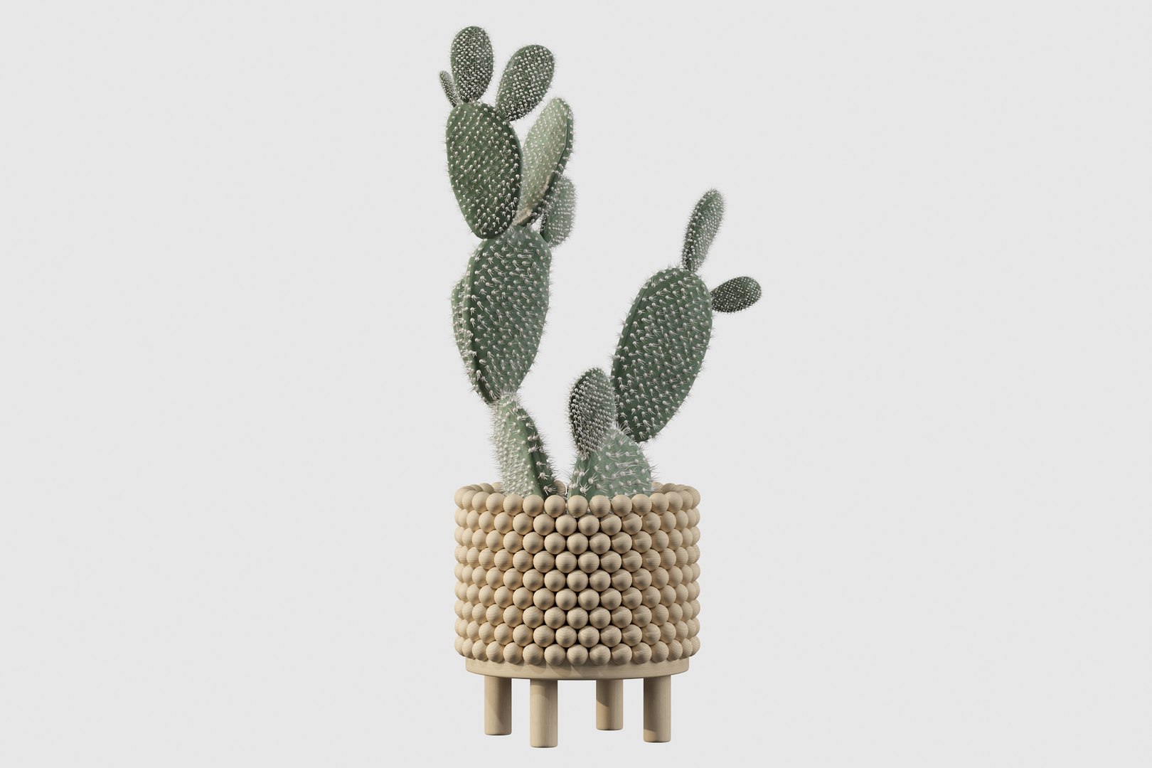 monstera ficus ali model https://p.turbosquid.com/ts-thumb/S6/sVYt8Z/Og/opuntia15/jpg/1612796407/1920x1080/fit_q87/677b4b3521e202409f91f1ee36b6ba7df3268d96/opuntia15.jpg