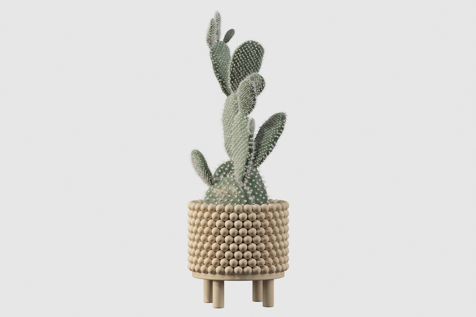 monstera ficus ali model https://p.turbosquid.com/ts-thumb/S6/sVYt8Z/X3/opuntia20/jpg/1612796407/1920x1080/fit_q87/14981d219d7614b1dd773bcb8c8bcff1dd179eca/opuntia20.jpg